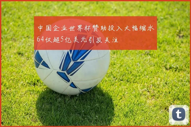 中国企业世界杯赞助投入大幅缩水64仅超5亿美元引发关注